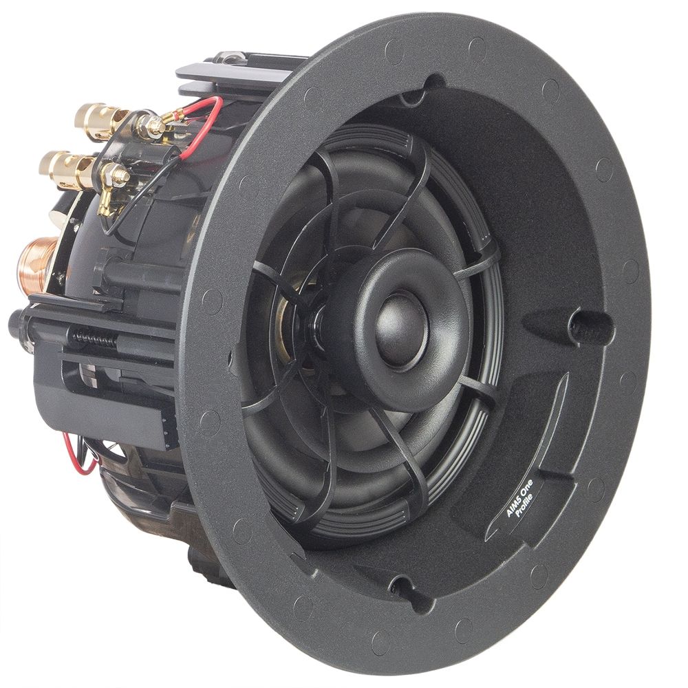 asm55101-2_profile_aim5_one_main-10