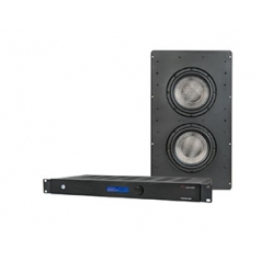Kit con Subwoofer de 8pulg y Amplificador de 500W