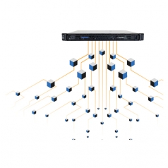 Licencia de actualización para canales Dante