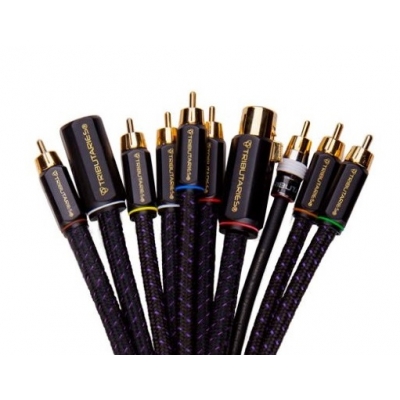 Tributaries - Ramo de cables Series 6 (pieza) Negro