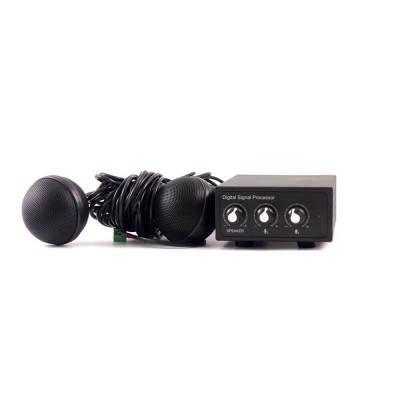 Laia Pareja de Micrófonos profesionales de techo, con consola de audio digital conectada por USB a PC (pieza)