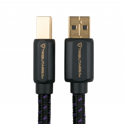 Tributaries - Cable USB A a USB B calibre 24 de 2 metros (pieza) Negro